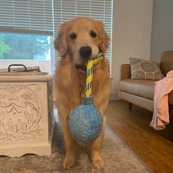 Meet your Posher, Cristina - Picture 1 of 1